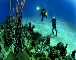 Agatti Island provides fascinated adventure water sports such as kayaking, Skiing and deep-sea fishing and also scuba diving are the water activities 